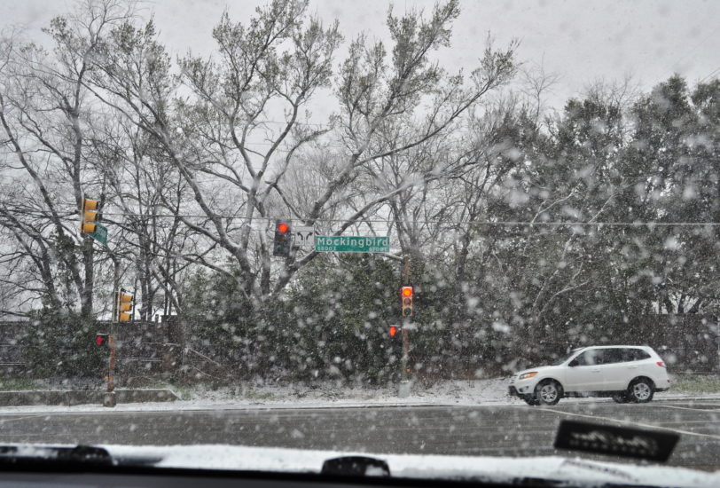 Neige Texas