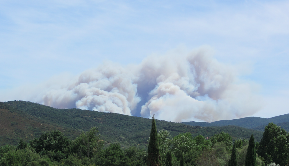 feu de forêt