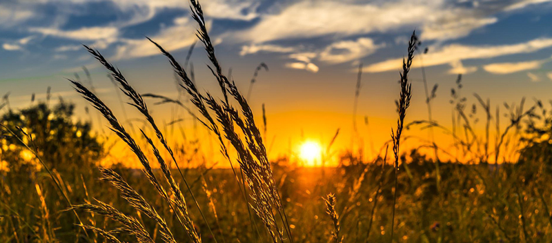 Faillite système agricole français