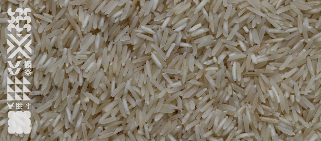 Grains de riz