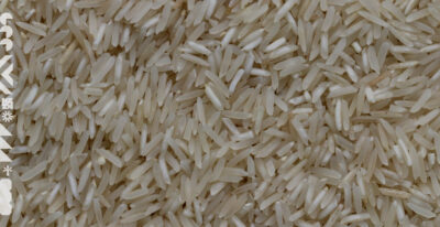 Grains de riz