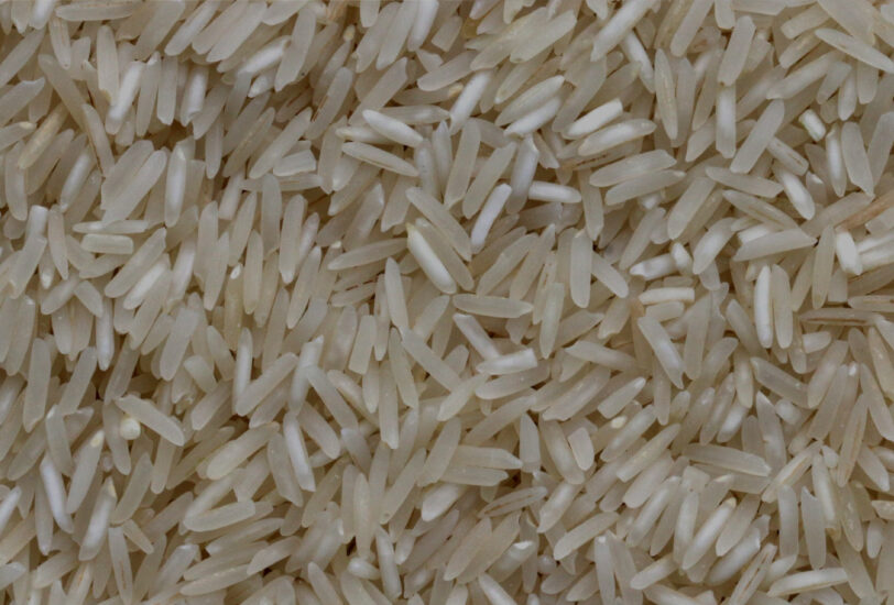 Grains de riz