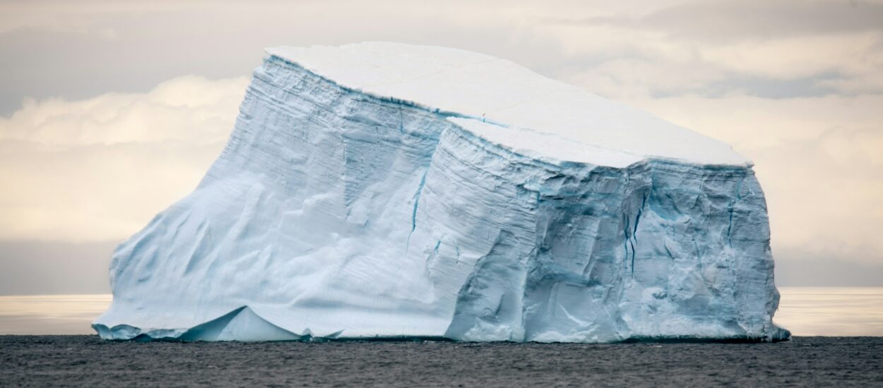 défendre le vivant pour la nature