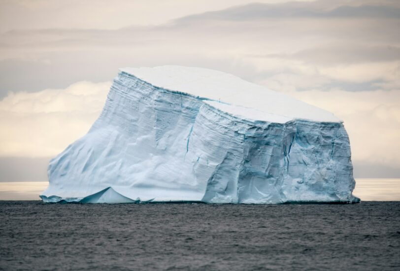 défendre le vivant pour la nature