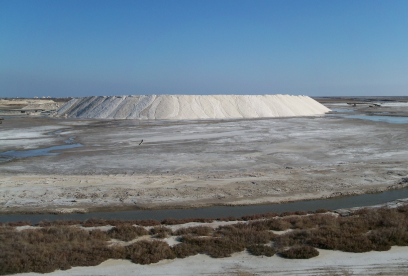 La Camargue produit à elle seule 1 million de tonnes de sel marin chaque année en moyenne